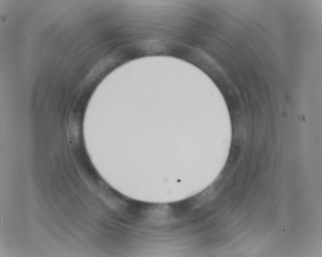 X0000077370124200611171958