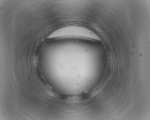 X0000077370125200611171958