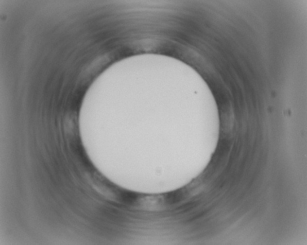 X0000077370126200611171958