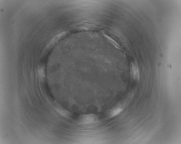 X0000077370127200611171958