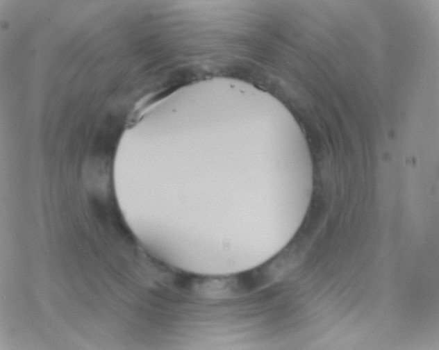 X0000077370129200611171958