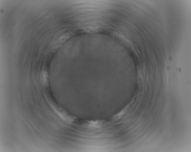 X0000077370130200611171958