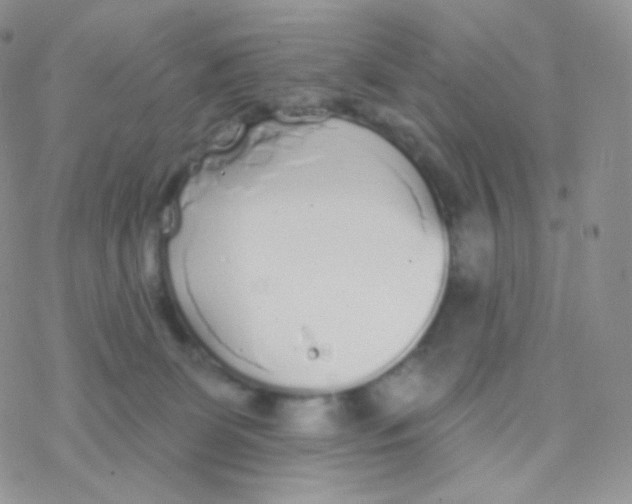 X0000077370131200611171958