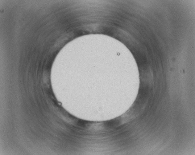 X0000077370132200611171958