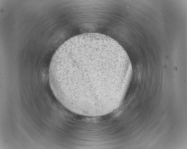 X0000077370134200611171958