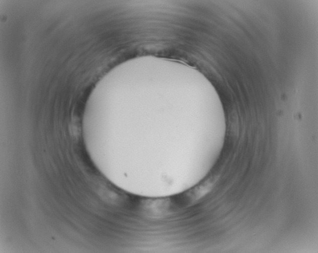 X0000077370135200611171958