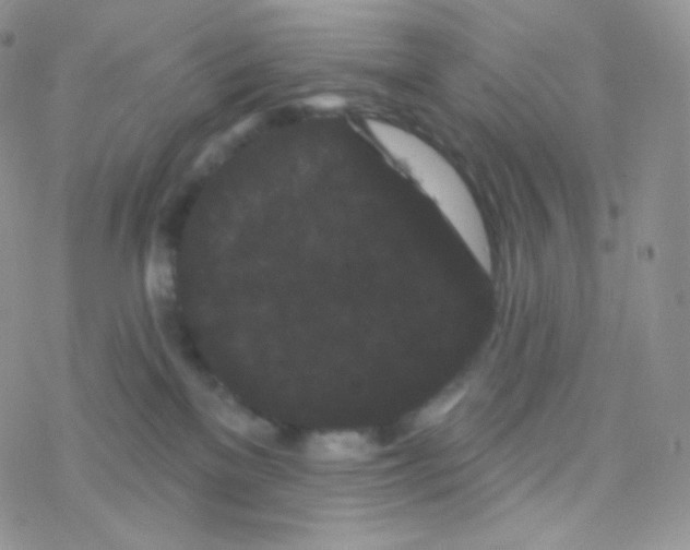 X0000077370137200611171958