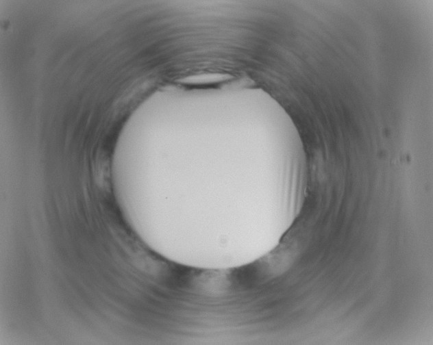 X0000077370138200611171958