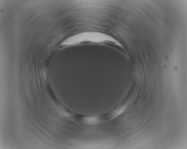 X0000077370139200611171958