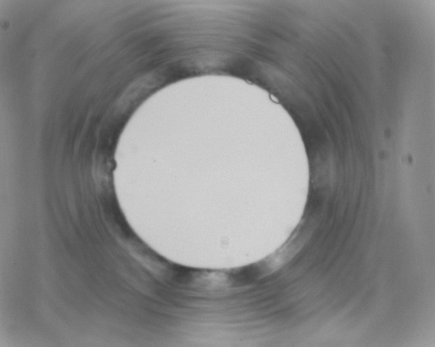 X0000077370140200611171958