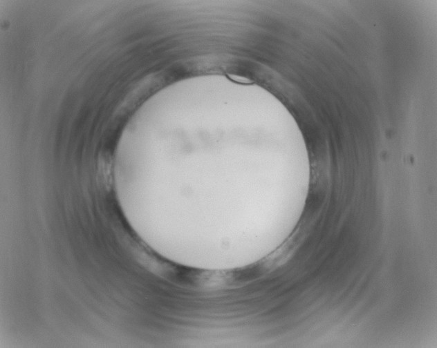 X0000077370142200611171958