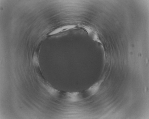 X0000077370143200611171958