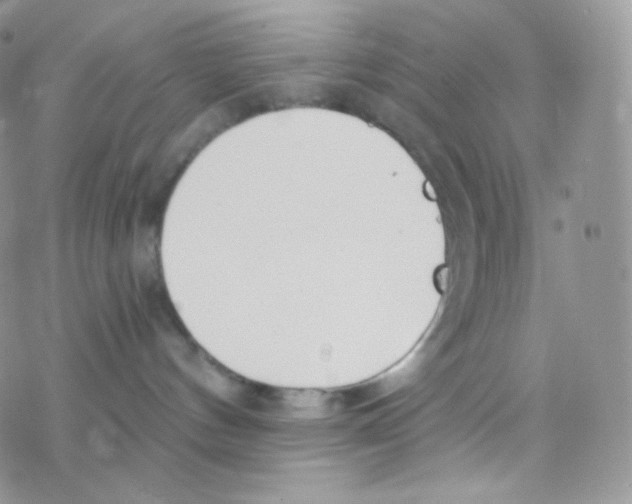 X0000077370144200611171958