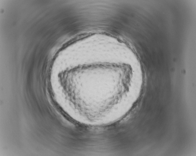 X0000077370145200611171957