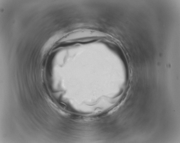 X0000077370149200611171957