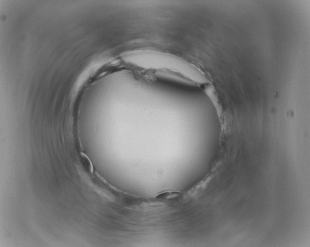 X0000077370150200611171957