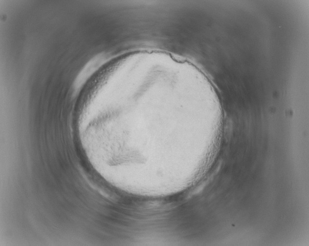 X0000077370151200611171957