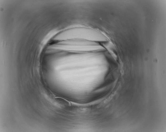 X0000077370152200611171957