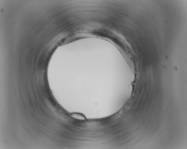 X0000077370154200611171957