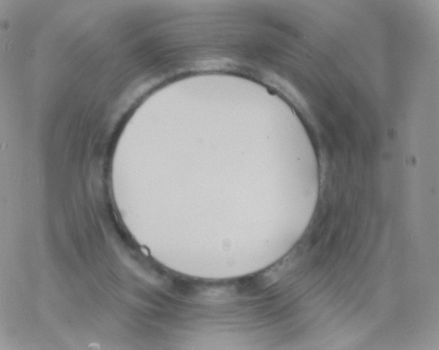 X0000077370155200611171957