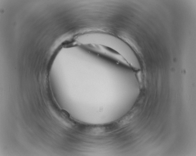 X0000077370156200611171958