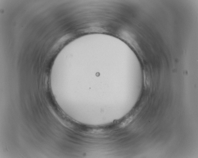 X0000077370157200611171958