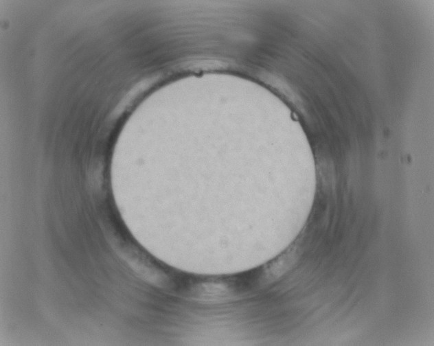 X0000077370159200611171958