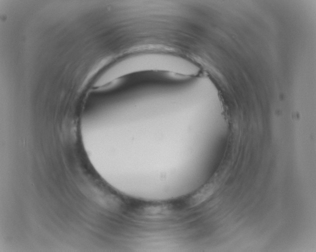 X0000077370160200611171958