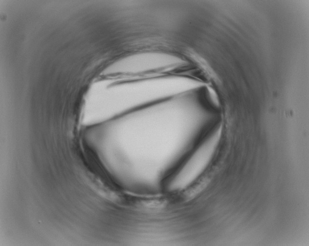 X0000077370161200611171958