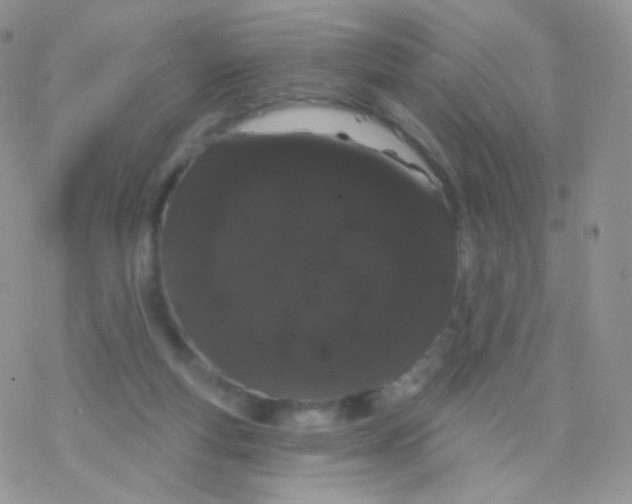 X0000077370163200611171958