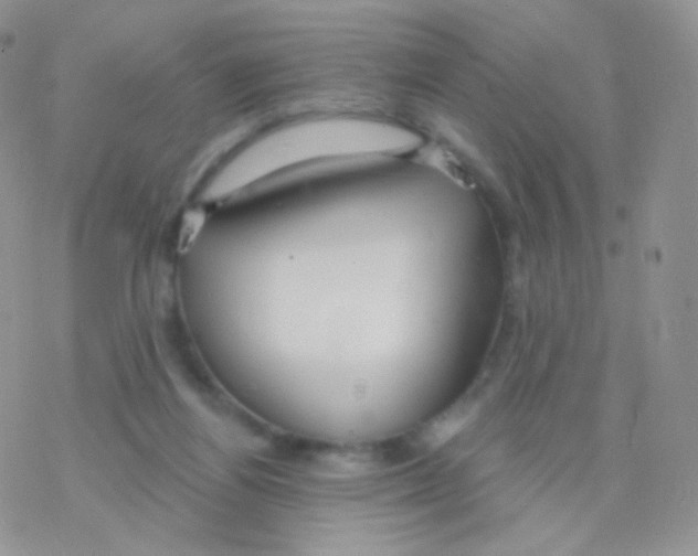 X0000077370164200611171958