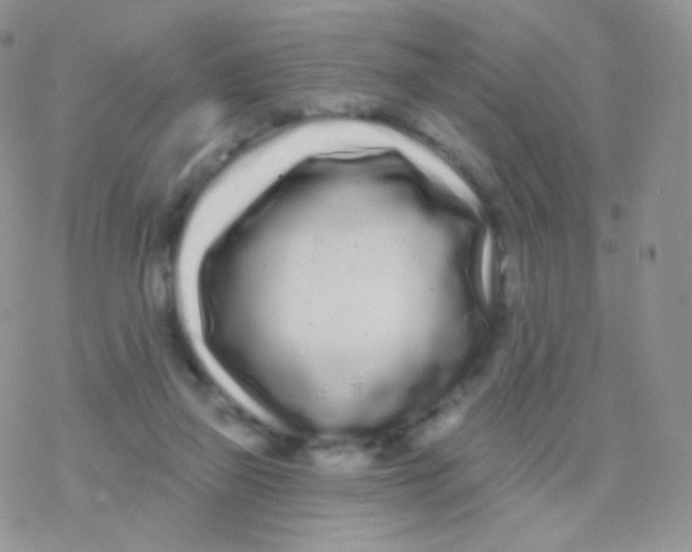 X0000077370165200611171958