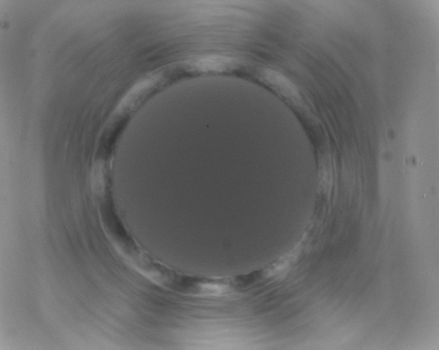 X0000077370167200611171958