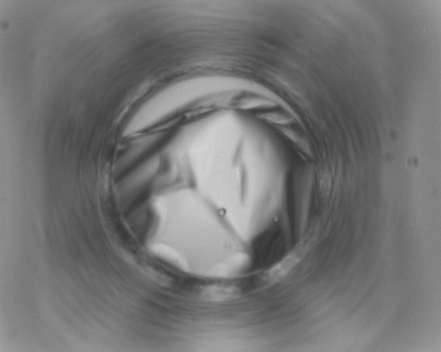 X0000077370168200611171958