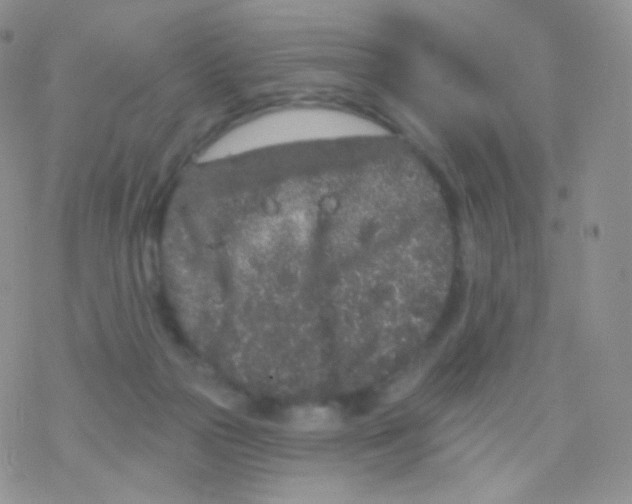 X0000077370169200611171958