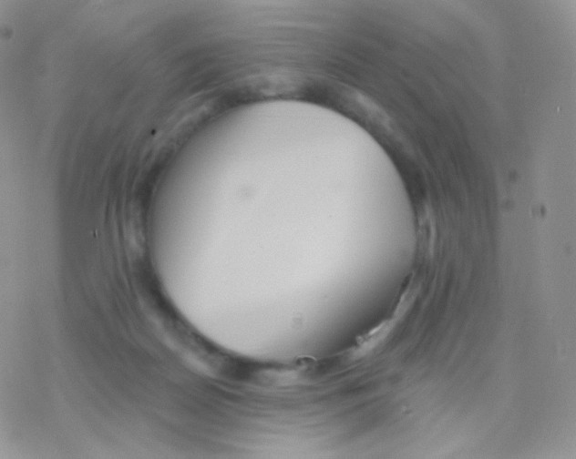 X0000077370170200611171958