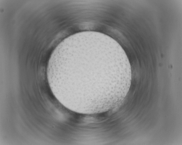 X0000077370171200611171958