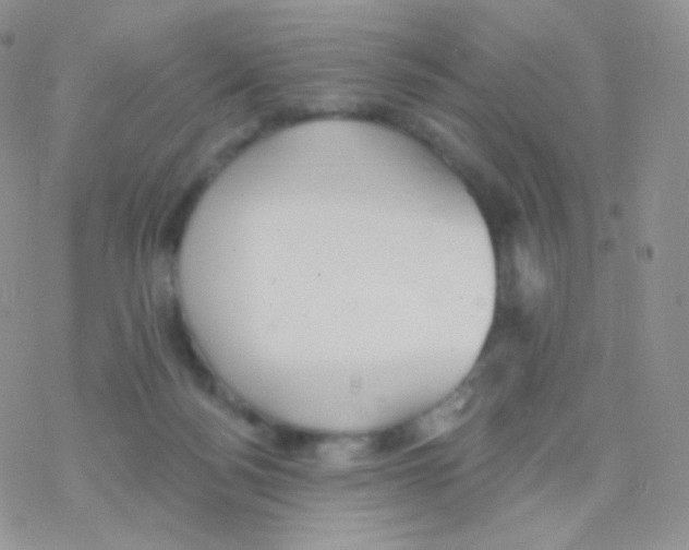 X0000077370172200611171958