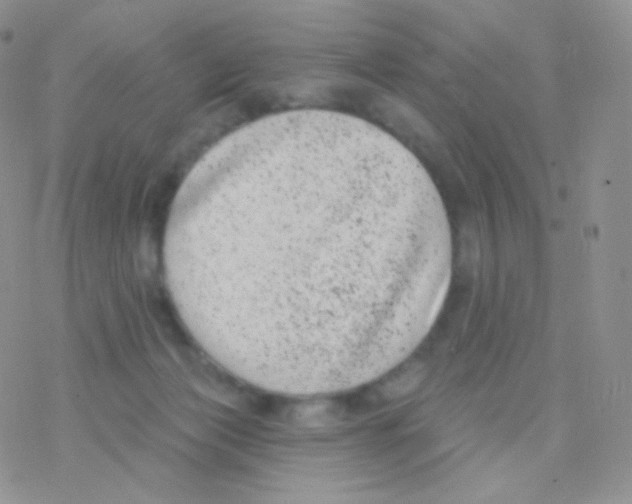 X0000077370173200611171958