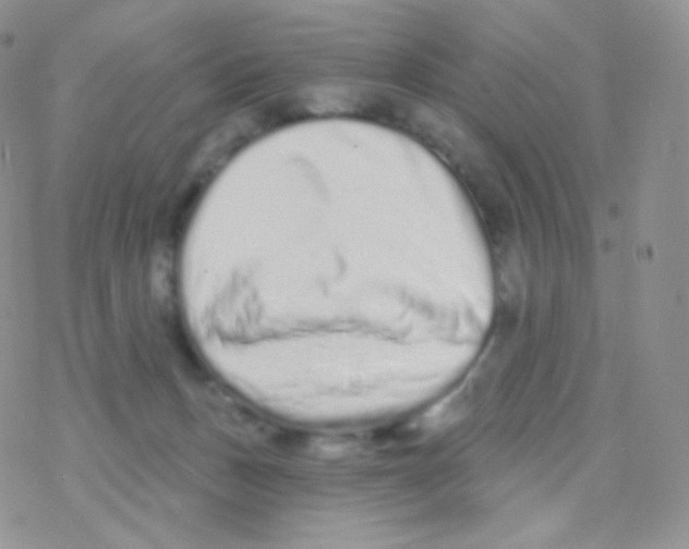 X0000077370175200611171958