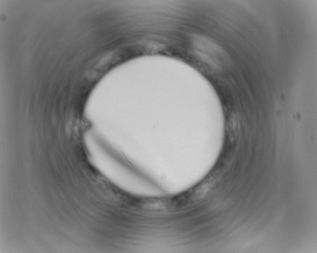 X0000077370177200611171958