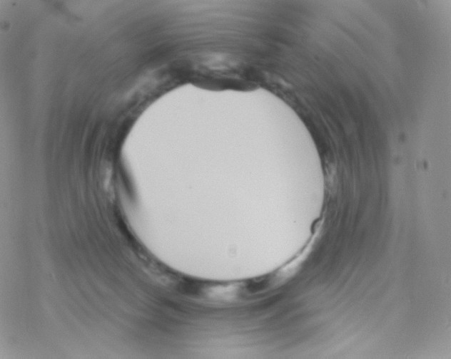 X0000077370178200611171958