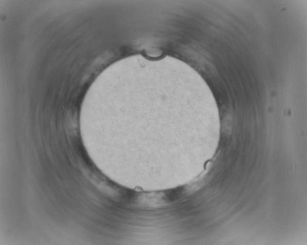 X0000077370179200611171958