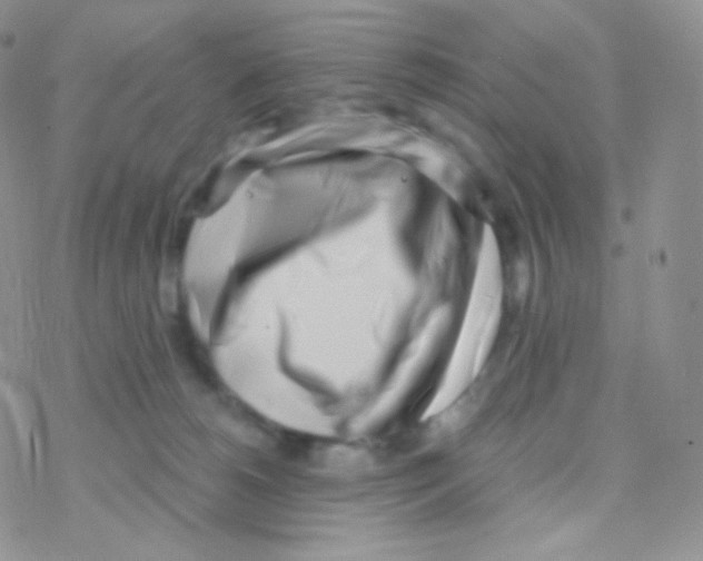 X0000077370180200611171958