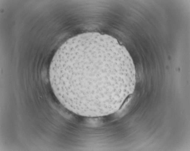 X0000077370187200611171958