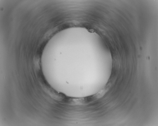 X0000077370188200611171958