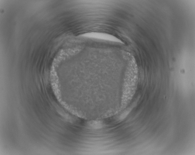 X0000077370189200611171958