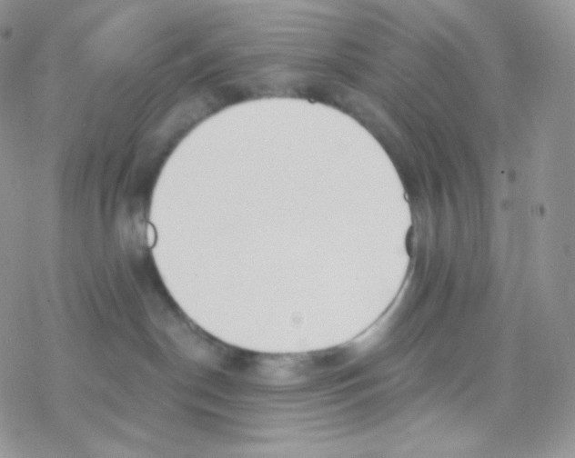 X0000077370190200611171958