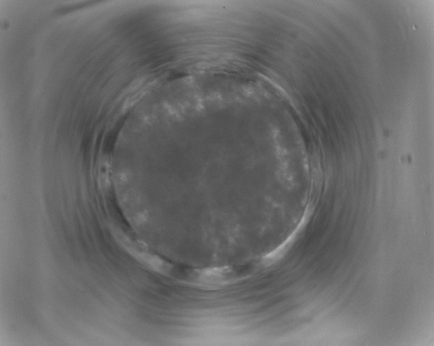 X0000077370191200611171958