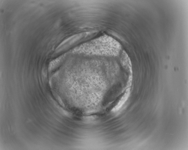 X0000077370192200611171958